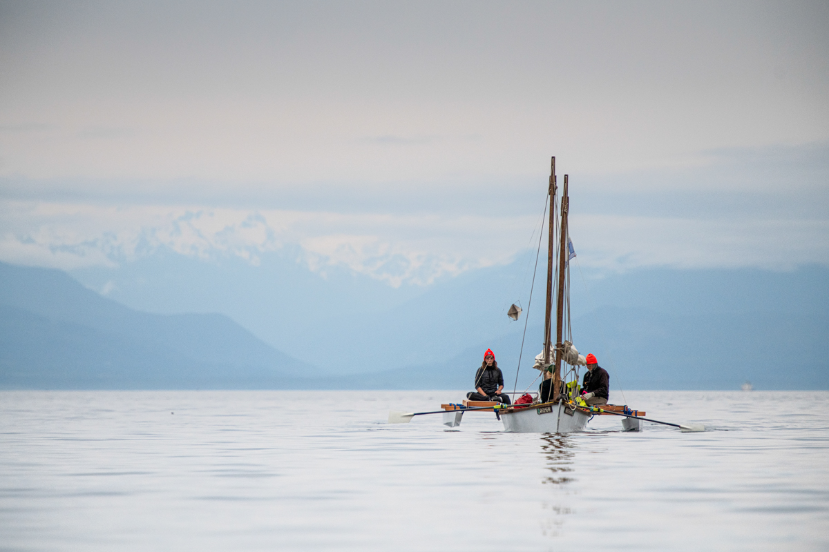 sailboat race to alaska